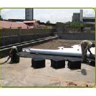 Coir Fiber