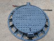 Coir Fiber