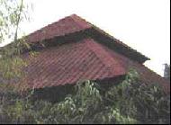 Coir Fiber