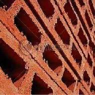 Coir Fiber