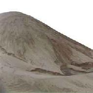 Coir Fiber