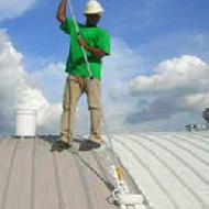 Coir Fiber