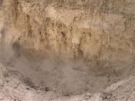 Coir Fiber