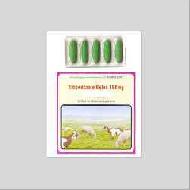 Coir Fiber