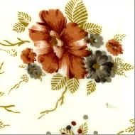 Coir Fiber