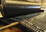 Coir Fiber