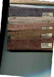 Coir Fiber