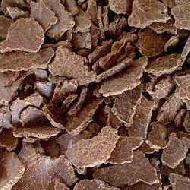Coir Fiber