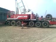 Coir Fiber