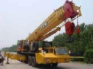 Coir Fiber