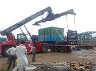 Coir Fiber