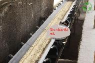 Coir Fiber
