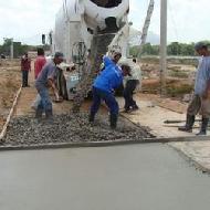 Coir Fiber