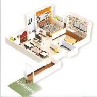 Coir Fiber