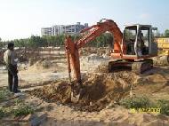 Coir Fiber
