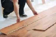 Coir Fiber