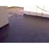 Coir Fiber