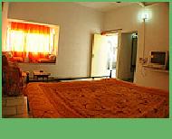 Coir Fiber