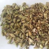 Coir Fiber
