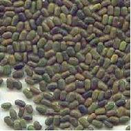 Coir Fiber