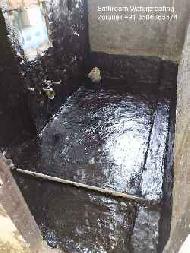 Coir Fiber