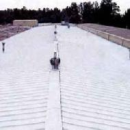 Coir Fiber
