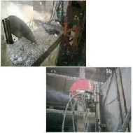 Coir Fiber