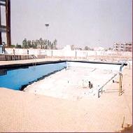 Coir Fiber