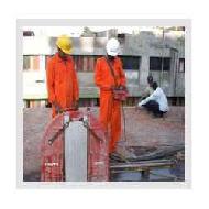 Coir Fiber