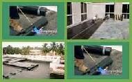 Coir Fiber