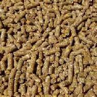 Coir Fiber