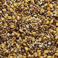 Coir Fiber