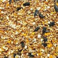 Coir Fiber