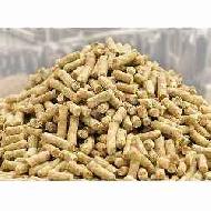 Coir Fiber