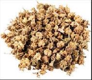 Coir Fiber