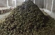 Coir Fiber