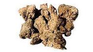 Coir Fiber