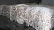 Coir Fiber