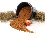 Coir Fiber