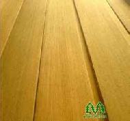 Coir Fiber