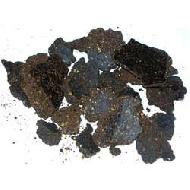 Coir Fiber