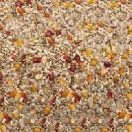 Coir Fiber