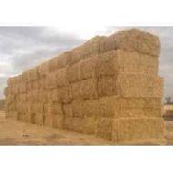 Coir Fiber