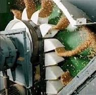 Coir Fiber