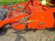 Coir Fiber