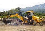 Coir Fiber