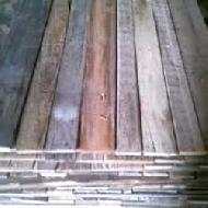 Coir Fiber
