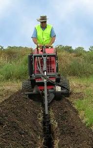 Coir Fiber