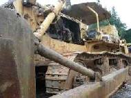 Coir Fiber