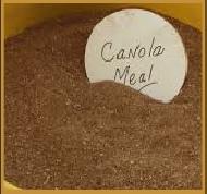 Coir Fiber